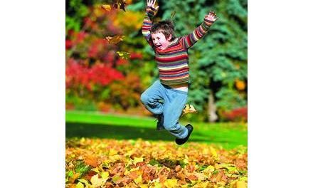 How to Make Leaf Cleanup Fun