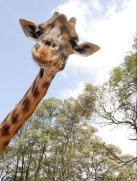 Top 5 Zoos, Aquariums or Nature Centers