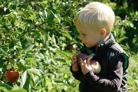 Kids Events September 2014