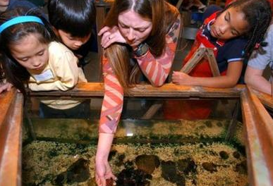 Spring Break Staycations