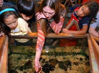 Spring Break Staycations