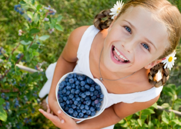 Massachusetts Berry Picking Guide