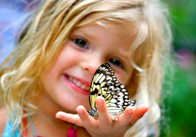 Butterfly Gardens in Massachusetts