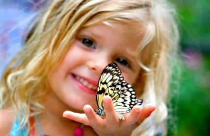 Butterfly Gardens in Massachusetts