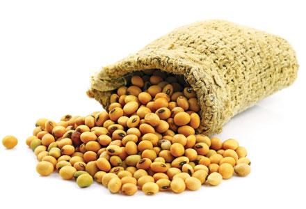 Symptoms of a Soy Allergy & Sources of Soy