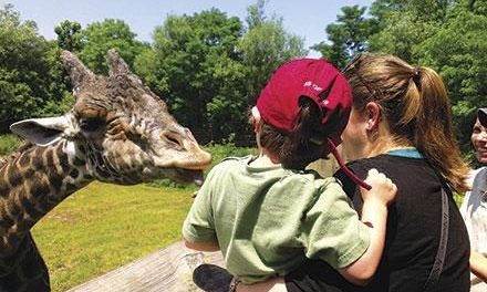 Top 5 Zoos, Aquariums or Nature Centers Around Boston in 2014
