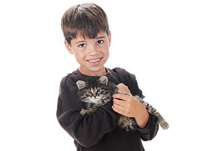 Adopting a Dog or Cat