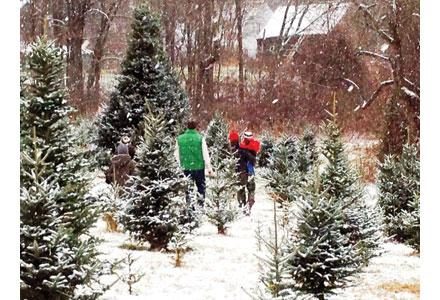 Families Share Tresured Holiday Traditions