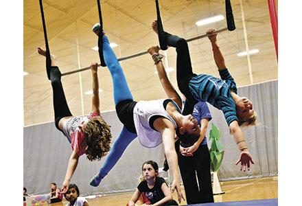 Traditional Camp or Specialty Camp?