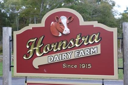 Dairy Farms in Massachusetts