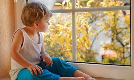 Preventing Window Falls