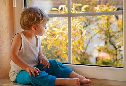 Preventing Window Falls