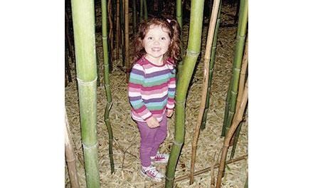 A City-by-City Guide of Rhode Island