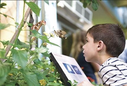 Top 5 Museums in Massachusetts in 2015