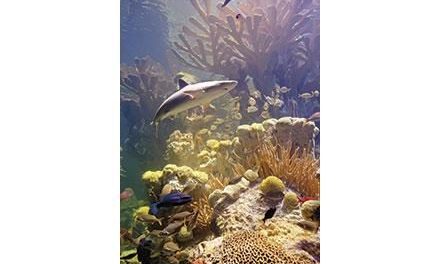 Top 5 Zoos, Aquariums or Nature Centers in Massachusetts in 2015