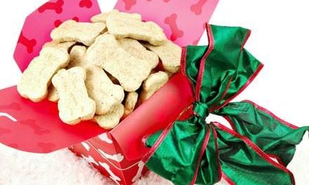 Homemade Pet Treats and Gifts for the Holidays