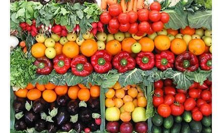 Winter Farmers Markets in Massachusetts