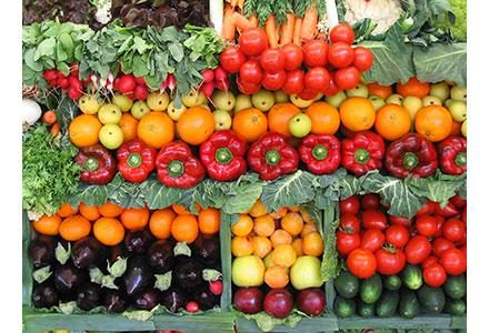Winter Farmers Markets in Massachusetts