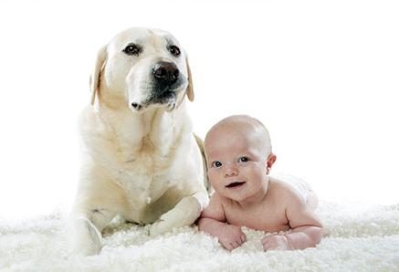 Top 5 Family Photographers in Massachusetts in 2016