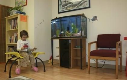 Top 5 Pediatricians in Massachusetts in 2016