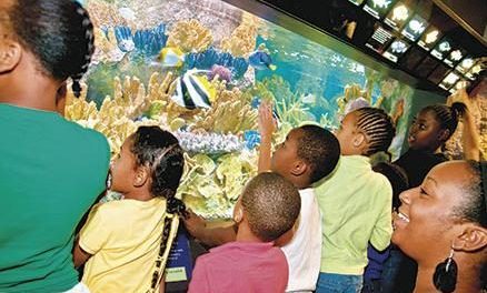 Top 5 Zoos, Aquariums and Nature Centers in Massachusetts in 2016