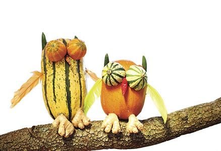 DIY Mowlificent Fowl Halloween Craft