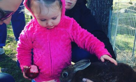 Green Time Over Screen Time: Things to Do from The Trustees Over April Vacation Week