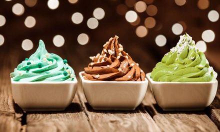 THE TOP 5 Frozen Yogurt Outlets in Greater Boston and Massachusetts