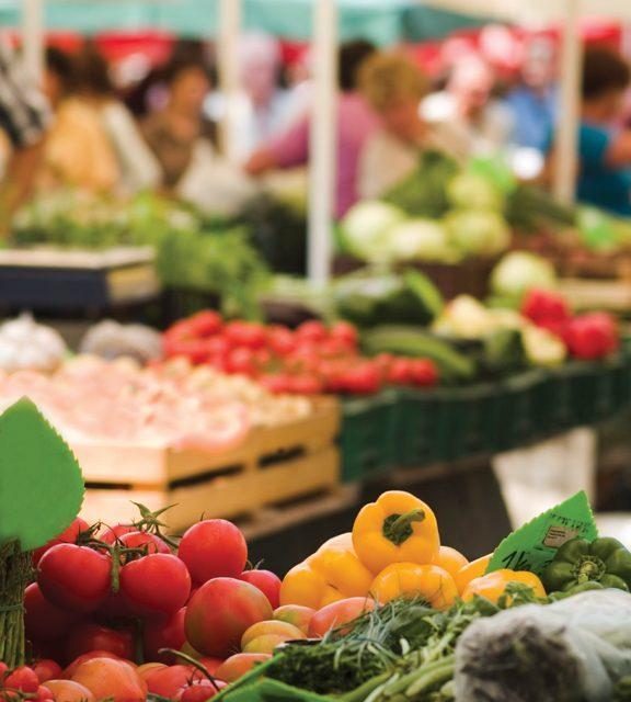 THE TOP 5 Farms for Picking in Greater Boston and Massachusetts