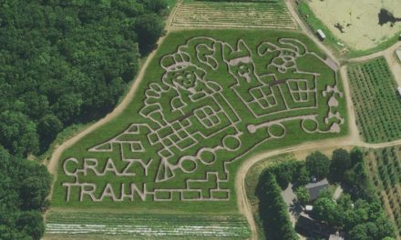 Fall For Corn Mazes: Classic Outdoor Family Fun