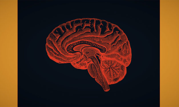 Curiosity, Creativity and Energy: Harness the Superpowers