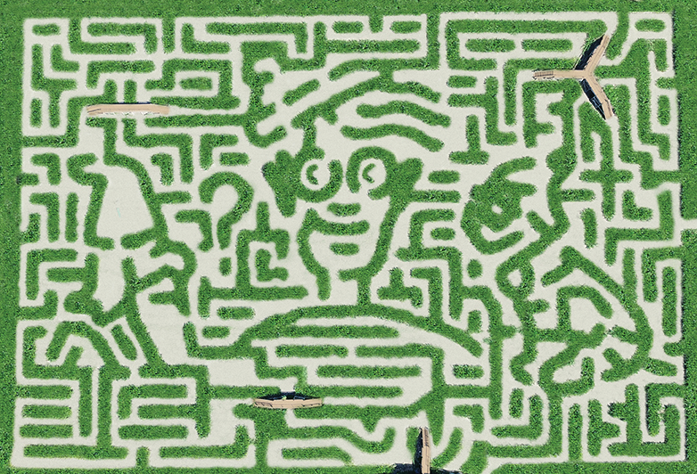 Get Lost! Corn Maze “Agritainment” Awaits