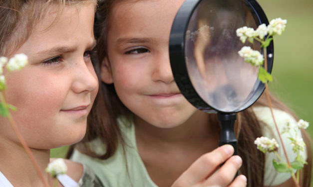 Top Family Favorite STEAM Summer Camps & Summer Programs in Greater Boston and Massachusetts – 2024