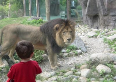 Top Family Favorite Fun and Attractions in Greater Boston, Massachusetts and New England – 2024