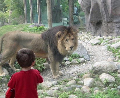 Top Family Favorite Fun and Attractions in Greater Boston, Massachusetts and New England – 2023