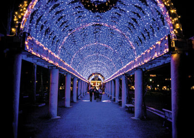 Holiday Lights in Massachusetts 2024