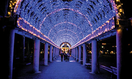 Holiday Lights in Massachusetts 2024