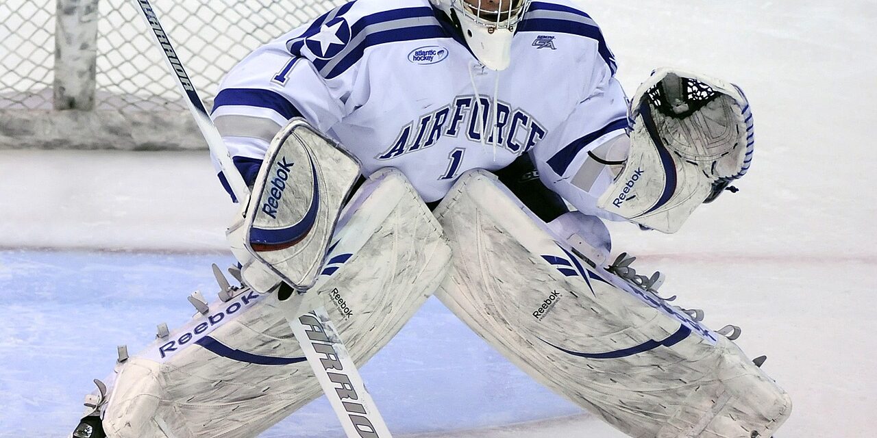 5 Best Ice Hockey Sticks For Beginners and Youth Boston Parents Paper