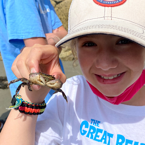 Edge on Science Whales n Thingsd