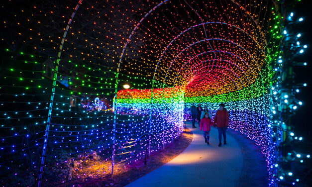 2024 Holiday Event Guide