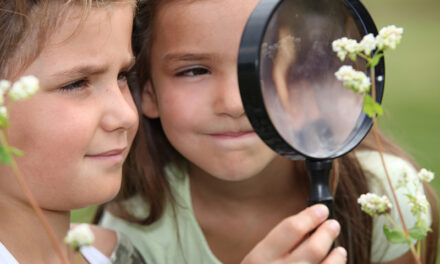 Top Family Favorite Preschool Age Summer Camps in Greater Boston and Massachusetts 2025