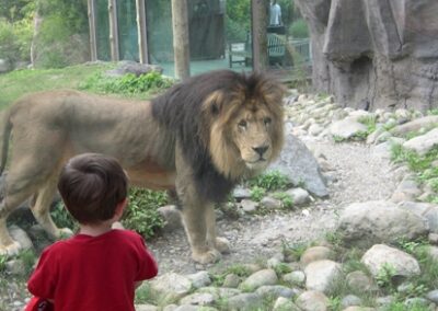 Top Family Favorite Fun and Attractions in Greater Boston, Massachusetts and New England