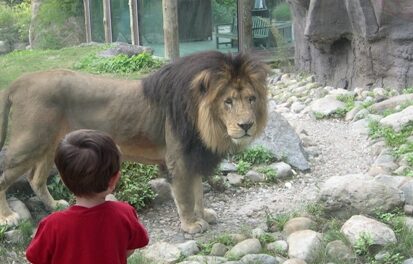 Top Family Favorite Fun and Attractions in Greater Boston, Massachusetts and New England