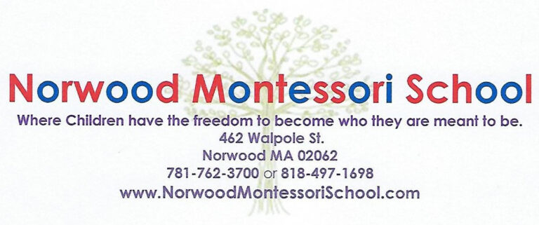 Newest logod 768x321