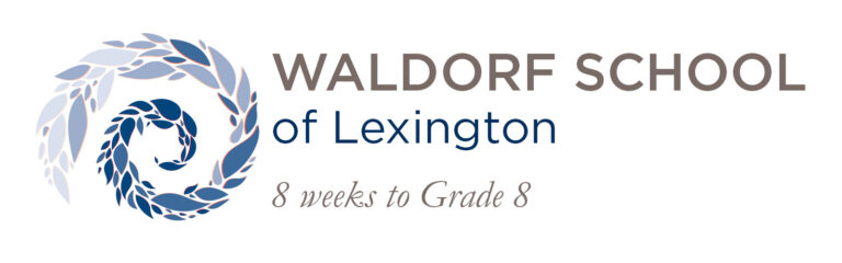 WSL Blue Horizontal School LogoupdatedSeptember2025compressedd 1 768x240