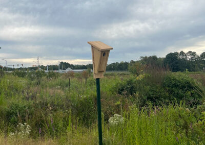 When the Bogs Went Quiet: A High School Senior’s Conservation Journey