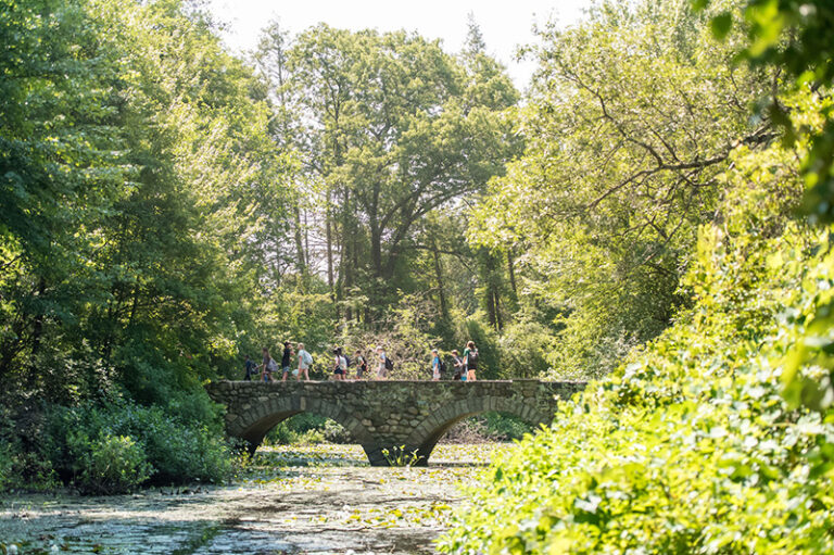 NEOC 2025 Day1 181 campus 768x511