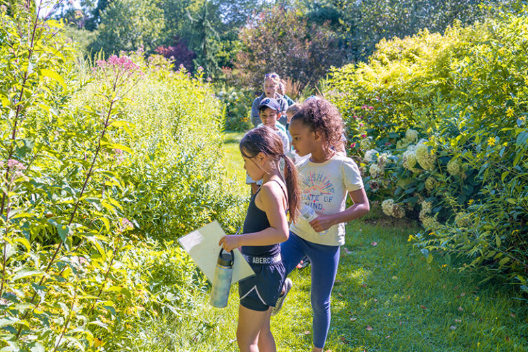 NEOC 2023 Aug2am 1 otters 768x512