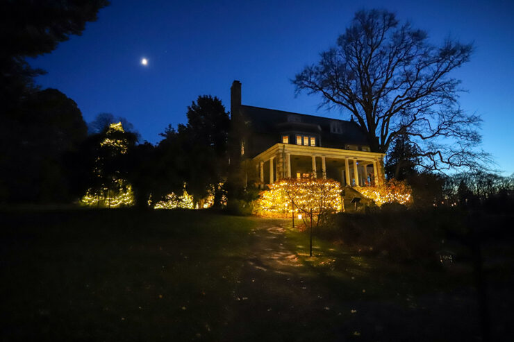 Night-Magic-forweb-740×493